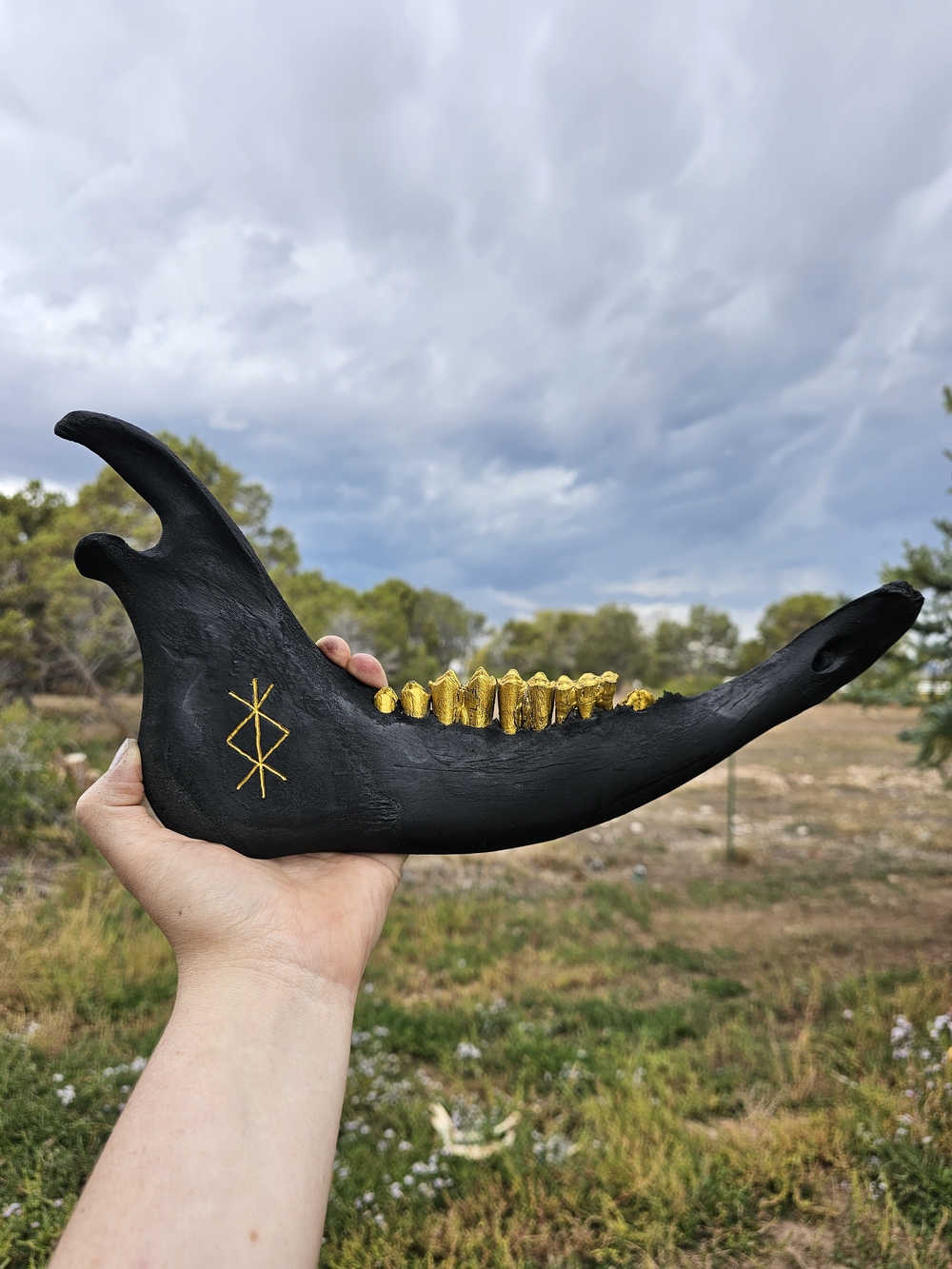Black Painted Jawbone with Gold Teeth Accent